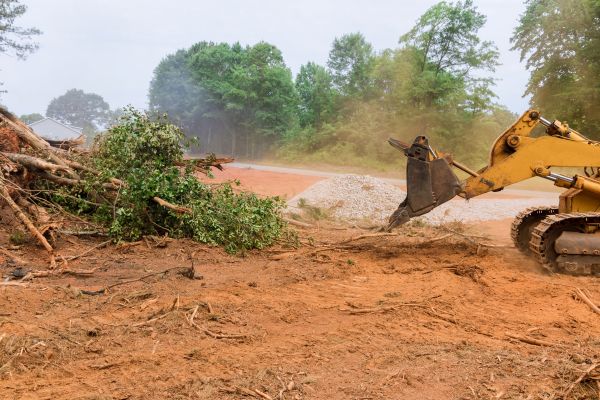 Ground Clearing in Newark