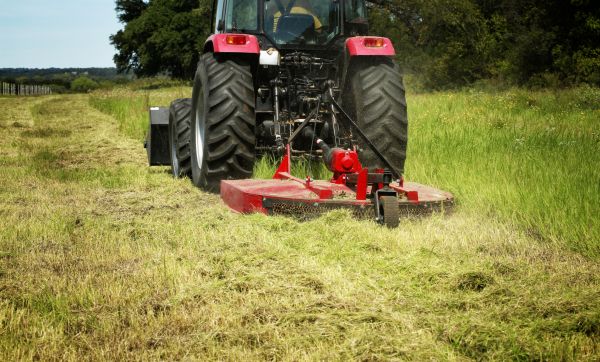 Brush Clearing Service in Newark