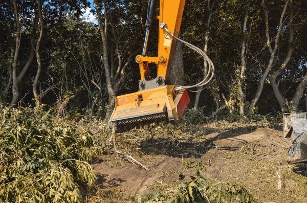 Brush Removal Service in Newark