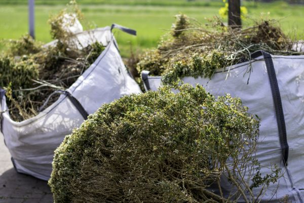 Cost of Bushes Clearing in Newark