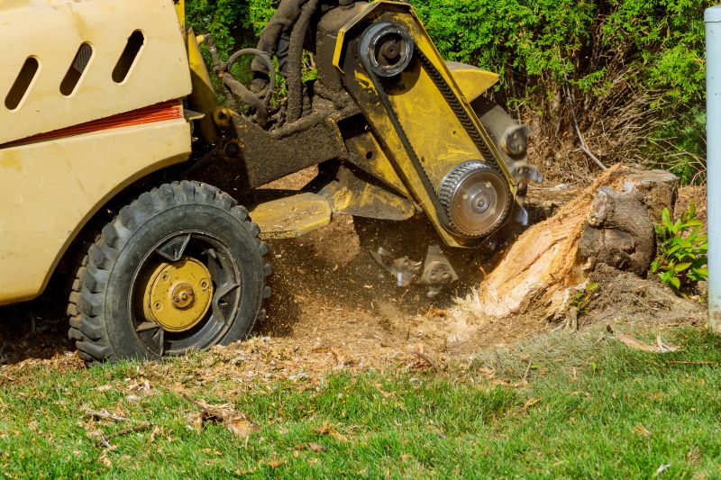 Tree and Stump Removal Equipment